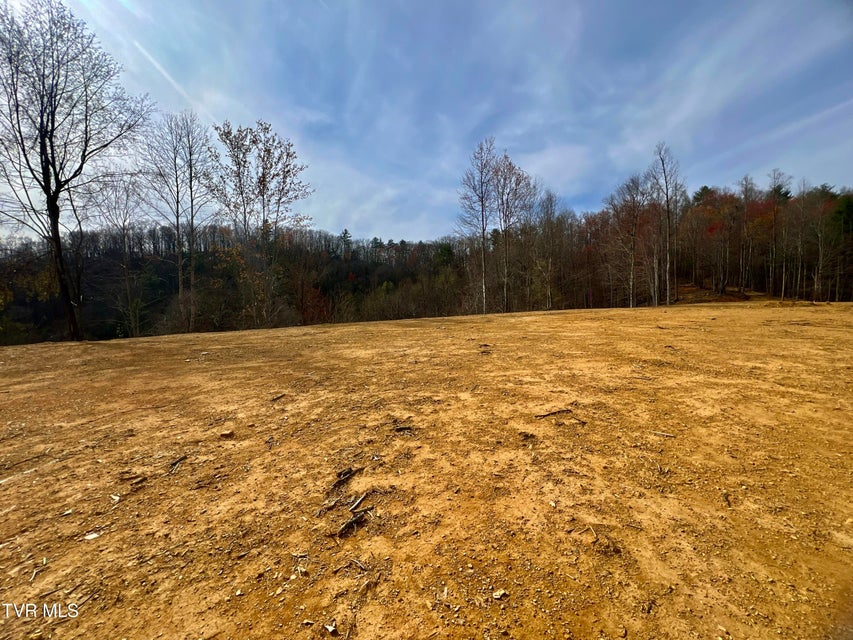 Photo #71: 538 Punkton Road