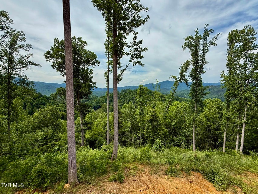 Photo #74: 538 Punkton Road