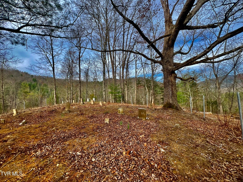 Photo #75: 538 Punkton Road