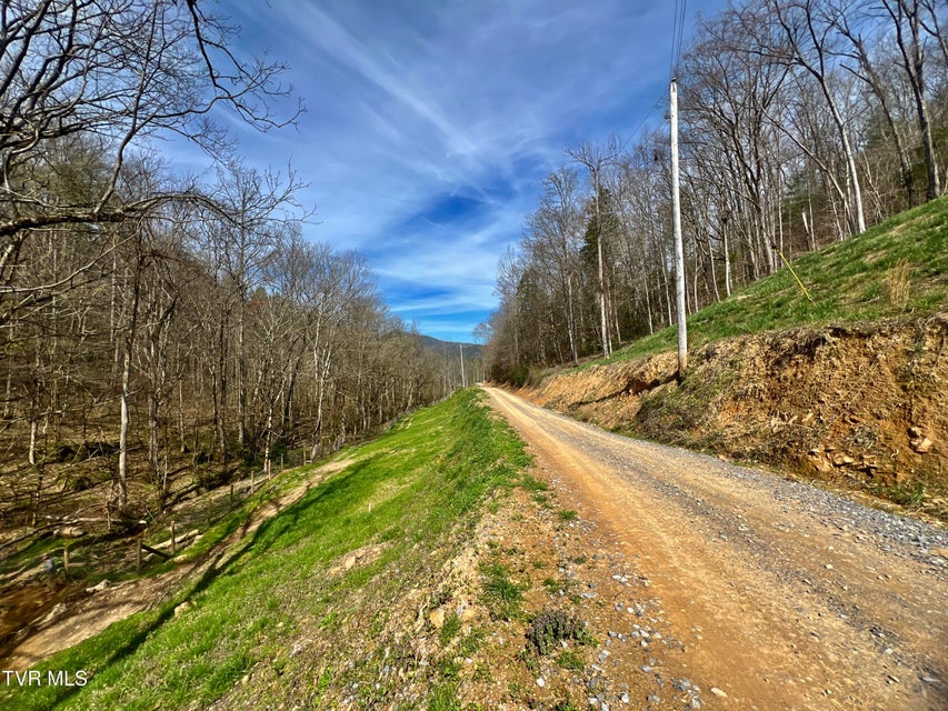 Photo #85: 538 Punkton Road