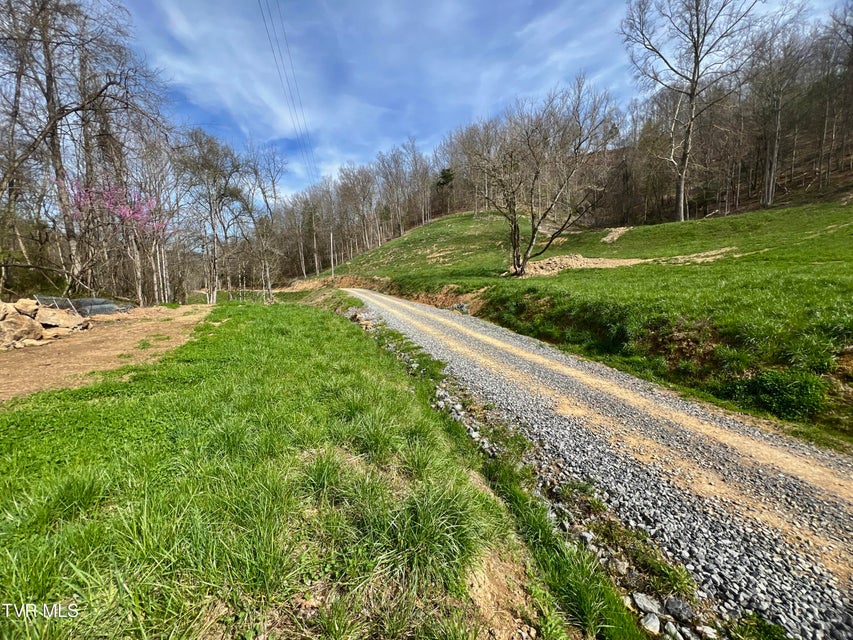 Photo #86: 538 Punkton Road
