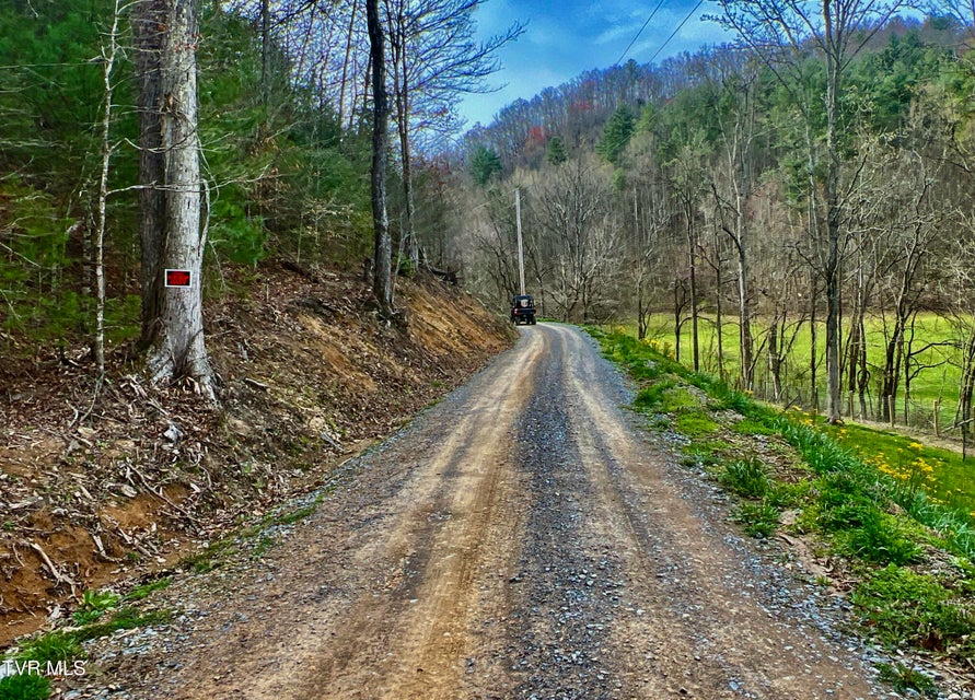 Photo #87: 538 Punkton Road