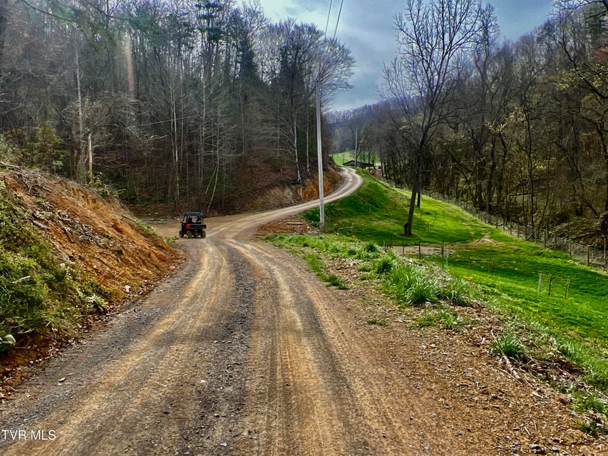 Photo #88: 538 Punkton Road