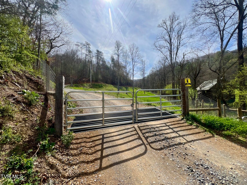 Photo #89: 538 Punkton Road