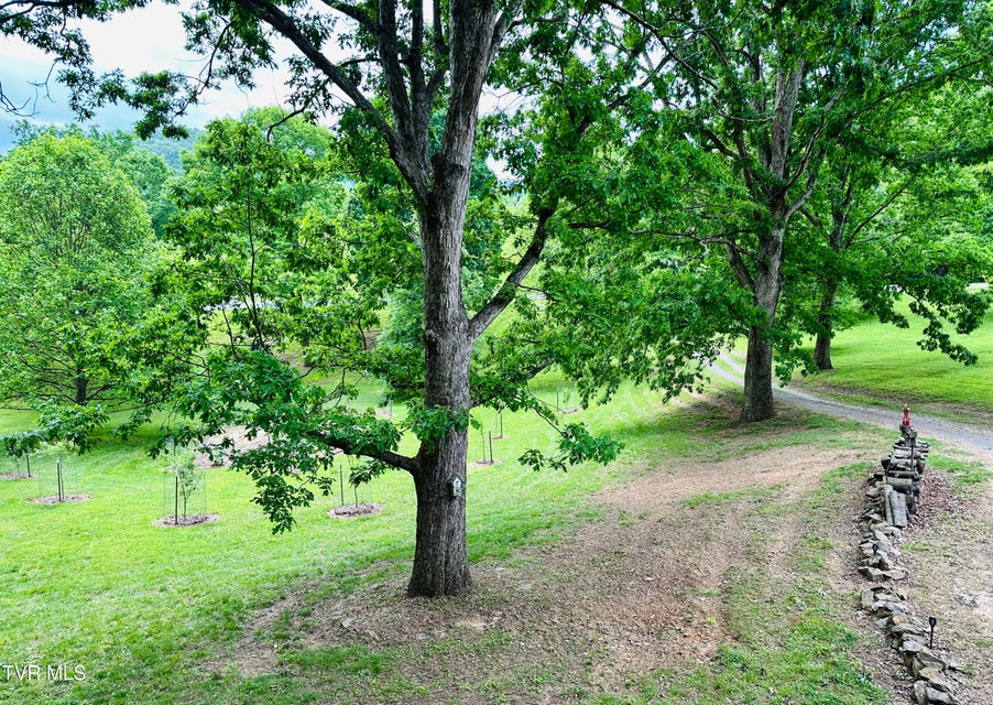Photo #25: 408 Glade Hill Drive
