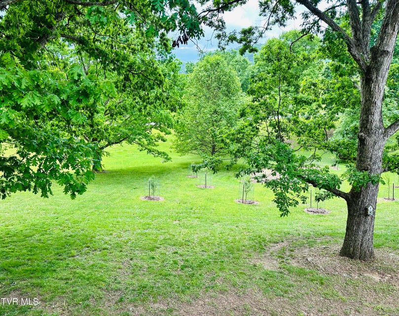 Photo #26: 408 Glade Hill Drive