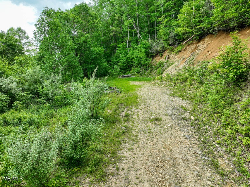 Photo #45: 1929/1993 Bulldog Road