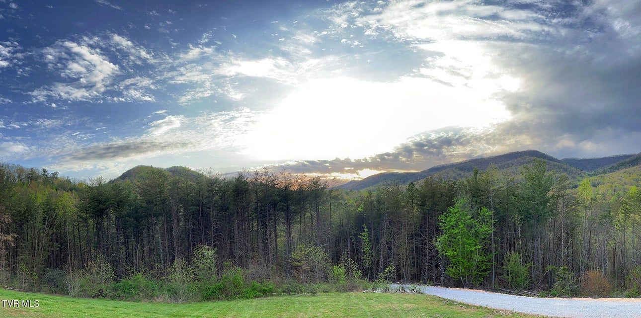 Photo #44: 5635 Houston Valley Road