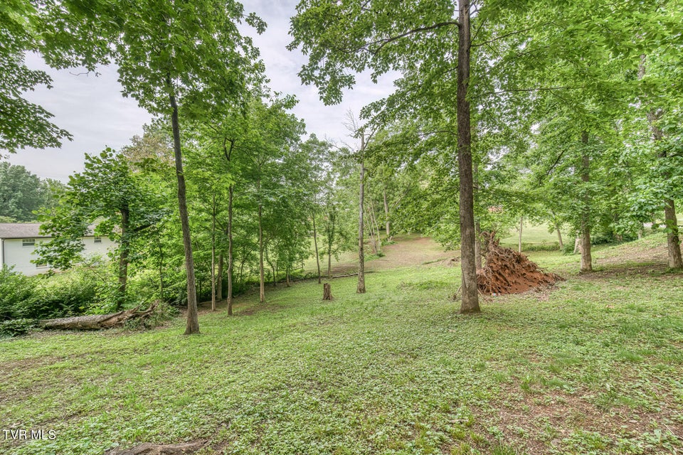Photo #34: 4320 Comet Lane