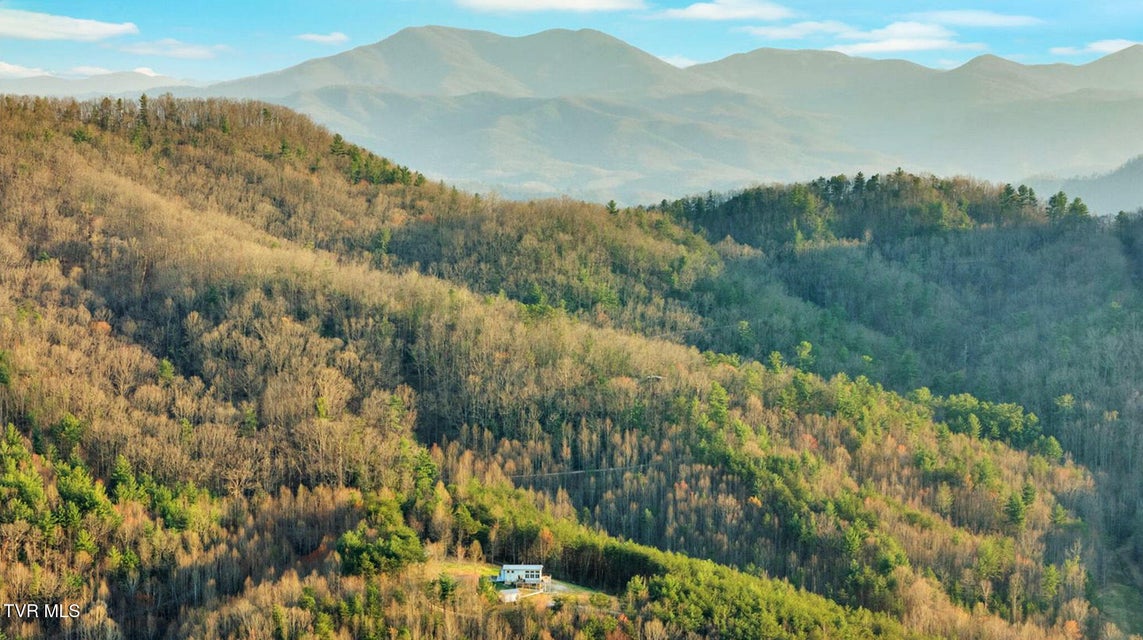 Photo #36: 1098-1 Paint Mountain Road