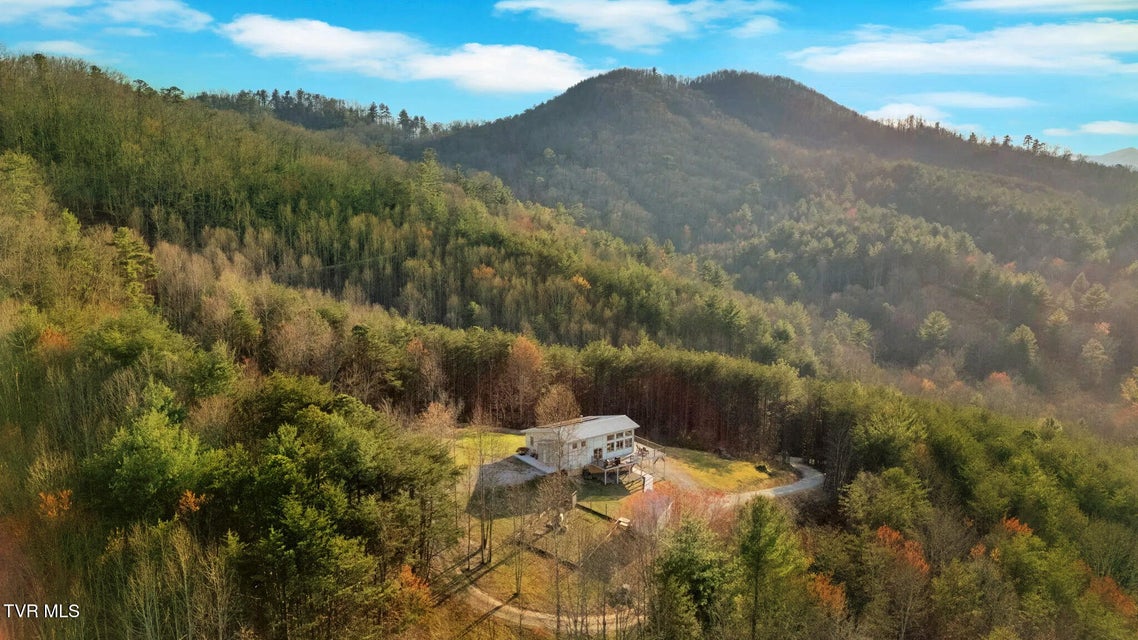 Photo #38: 1098-1 Paint Mountain Road