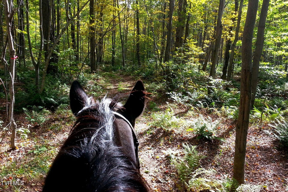 Photo #39: 1098-1 Paint Mountain Road