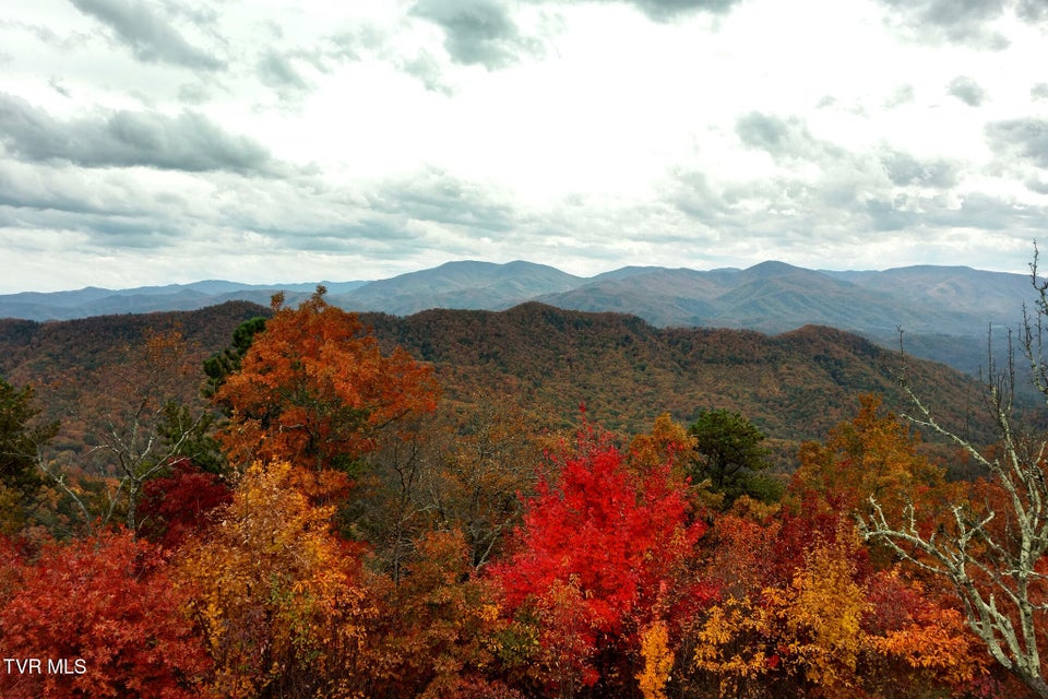 Photo #40: 1098-1 Paint Mountain Road