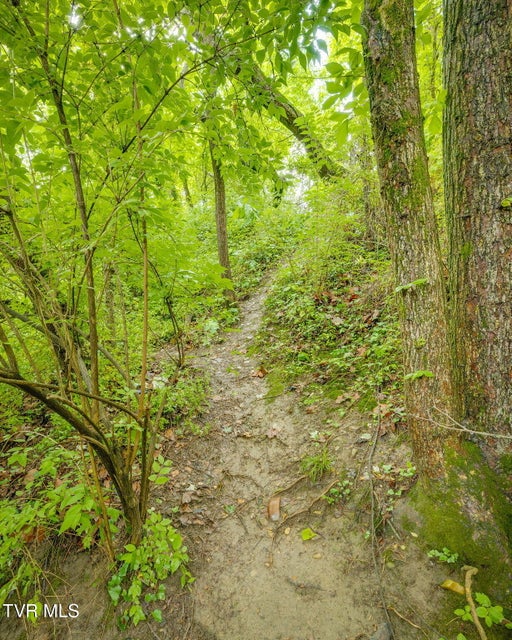 Photo #37: 1045 Wilcox Drive