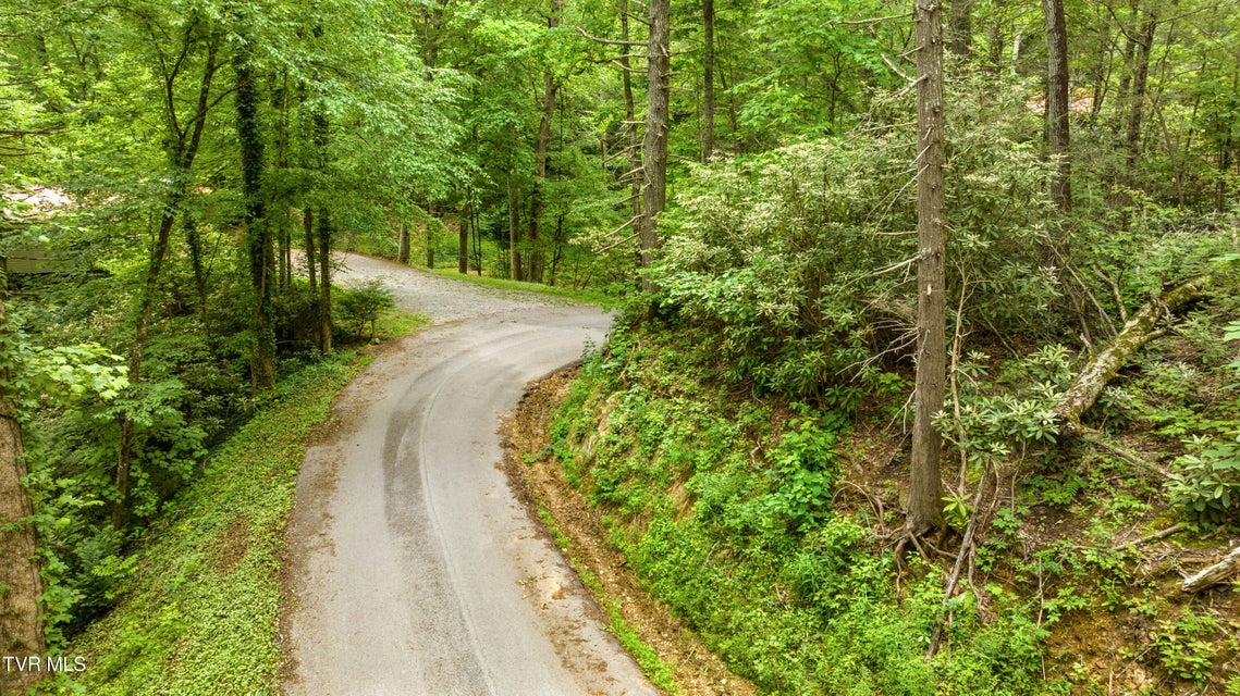 Photo #7: Tbd King Drive