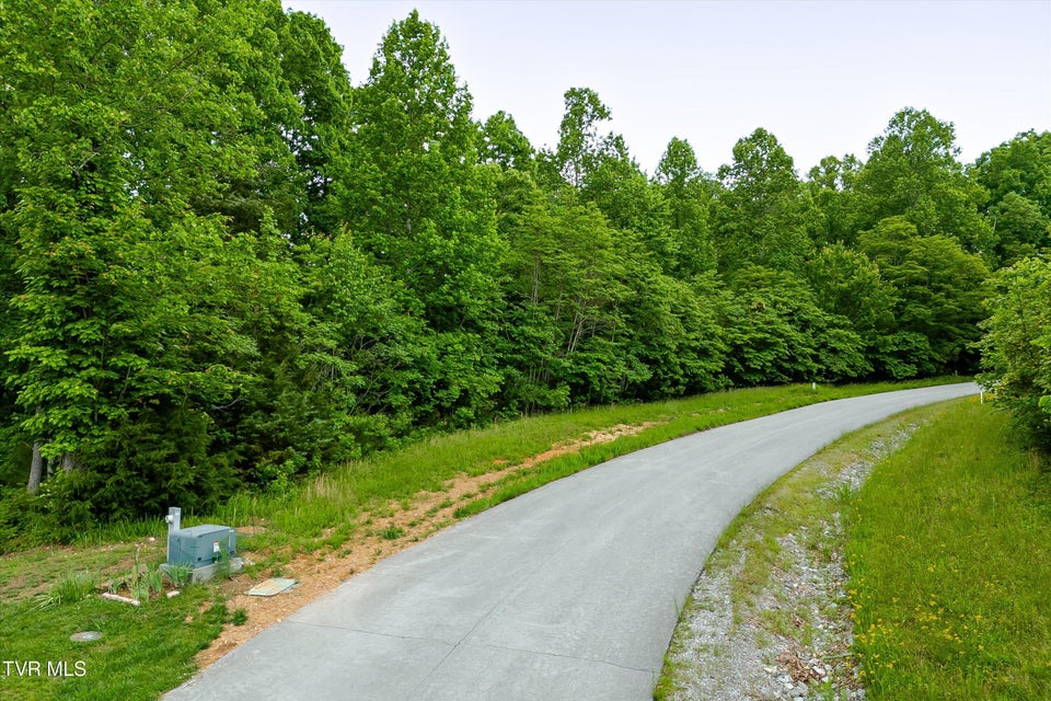 Photo #2: Lot 240 Tanzanite Trail