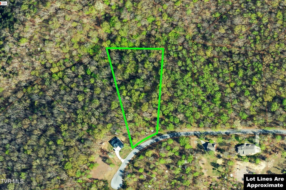 Photo #9: Lot 240 Tanzanite Trail