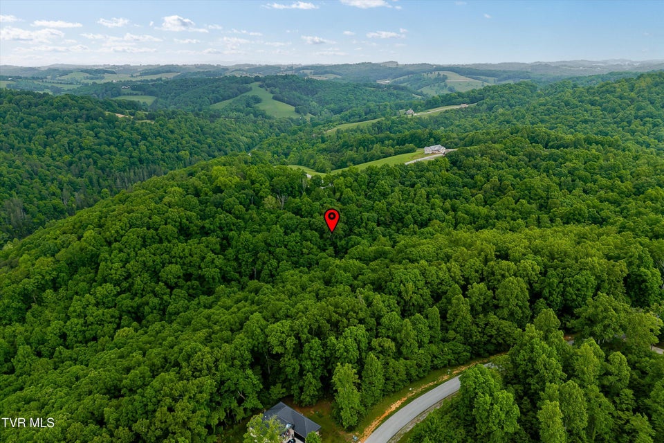 Photo #19: Lot 240 Tanzanite Trail