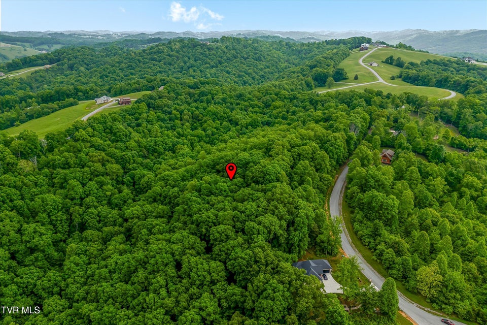 Photo #20: Lot 240 Tanzanite Trail