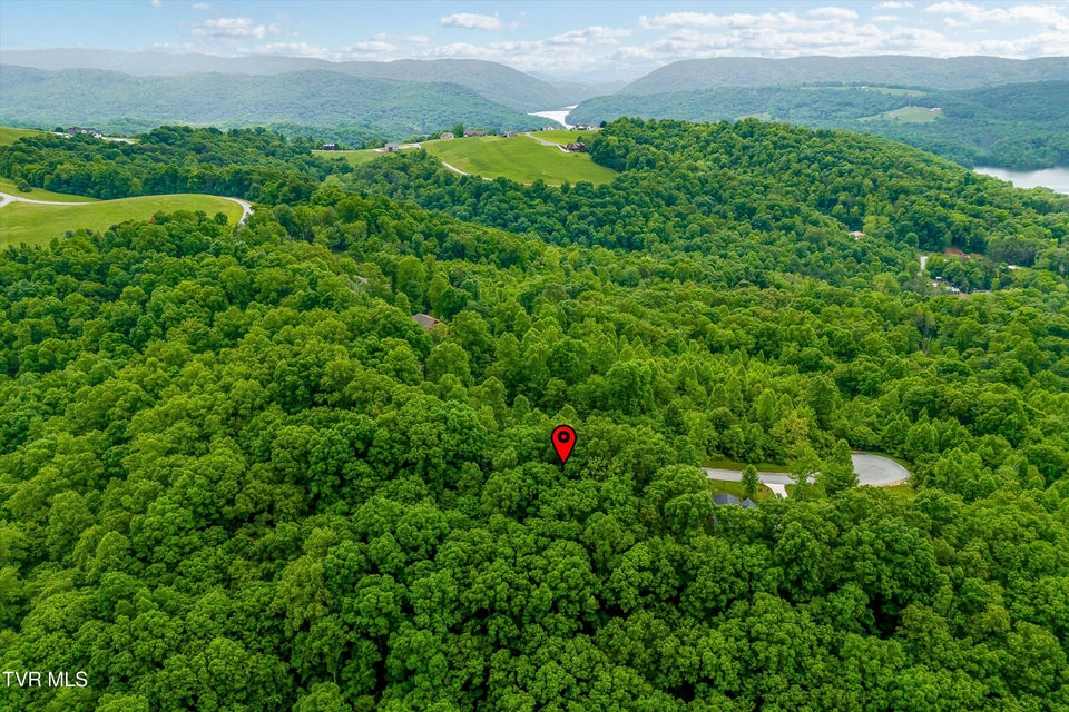 Photo #22: Lot 240 Tanzanite Trail