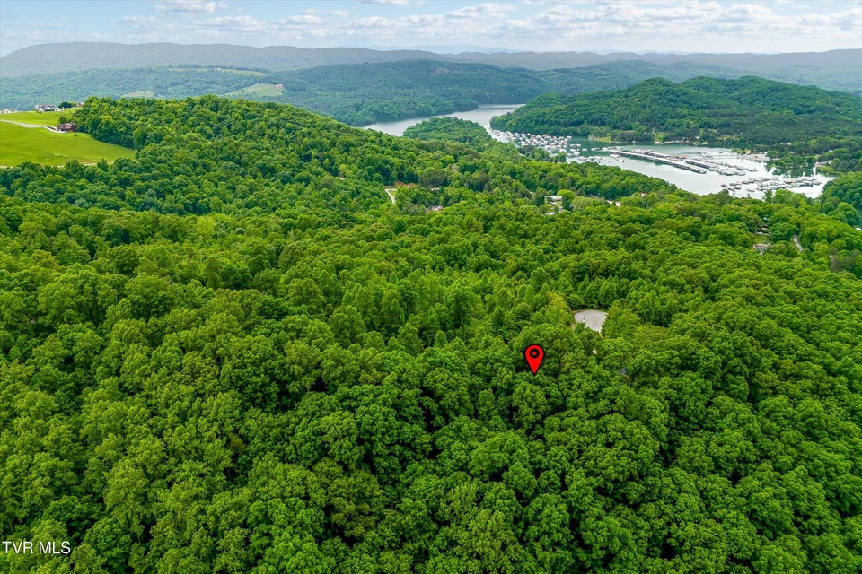 Photo #23: Lot 240 Tanzanite Trail