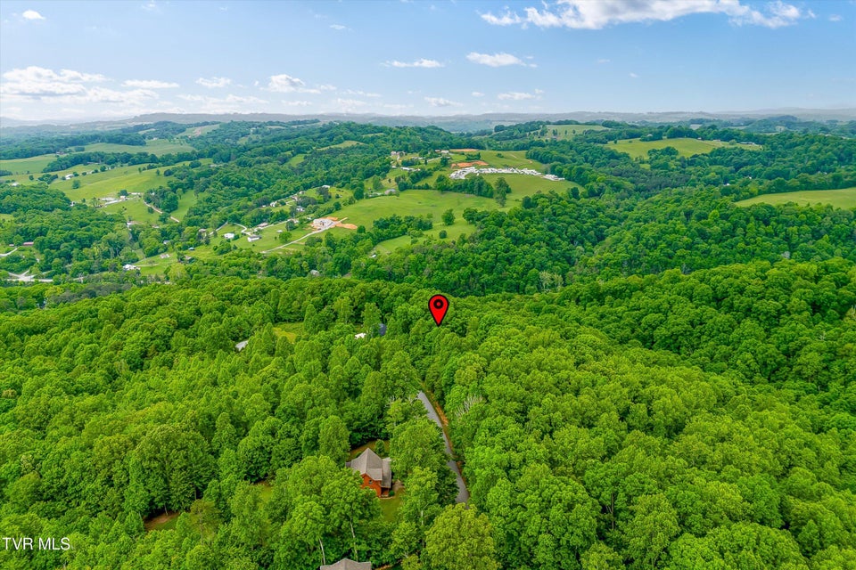 Photo #24: Lot 240 Tanzanite Trail