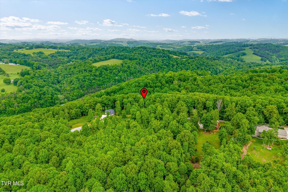 Photo #25: Lot 240 Tanzanite Trail