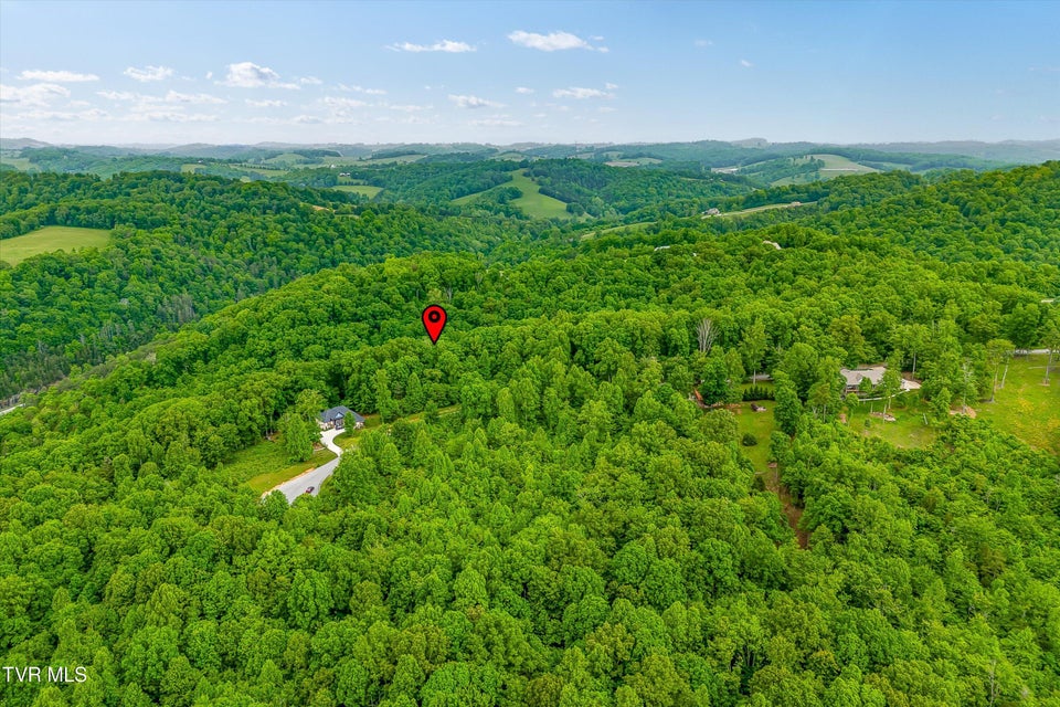 Photo #26: Lot 240 Tanzanite Trail