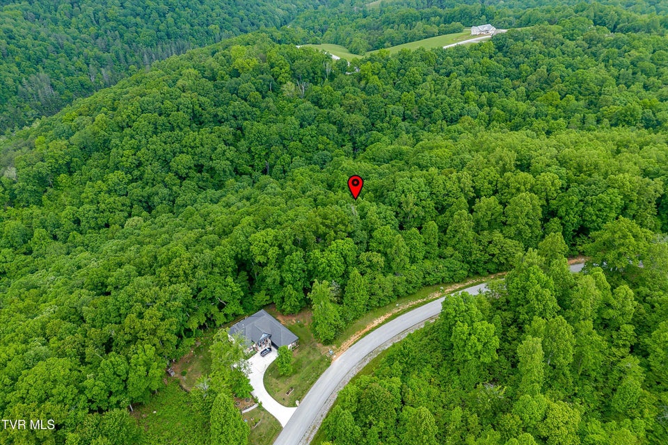 Photo #27: Lot 240 Tanzanite Trail