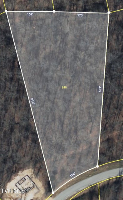 Photo #31: Lot 240 Tanzanite Trail
