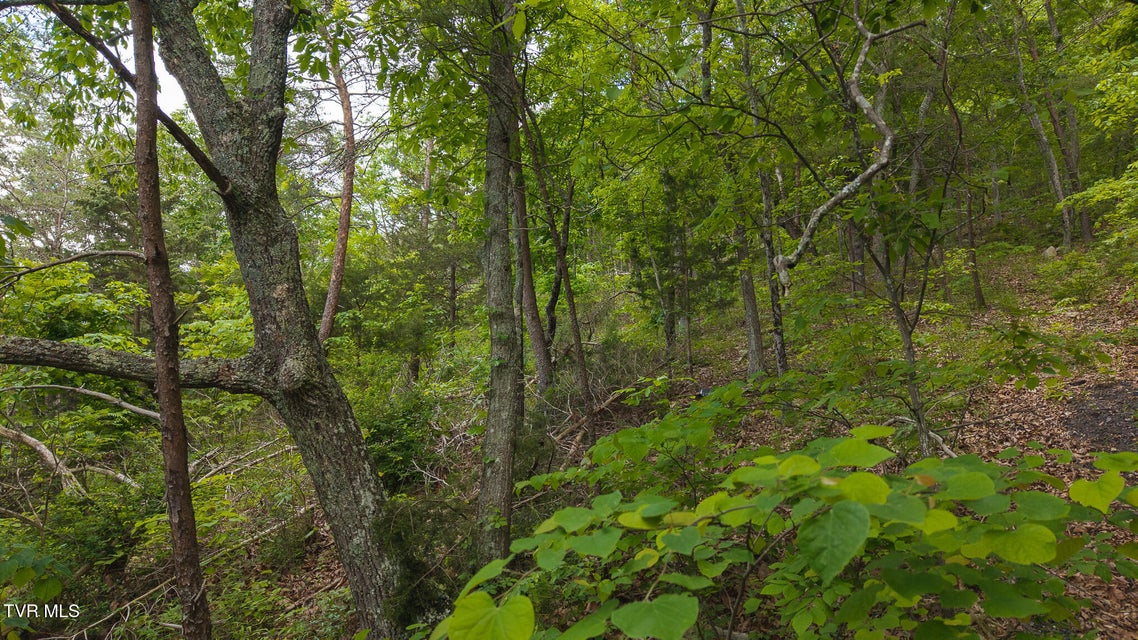 Photo #3: 0 25e Highway