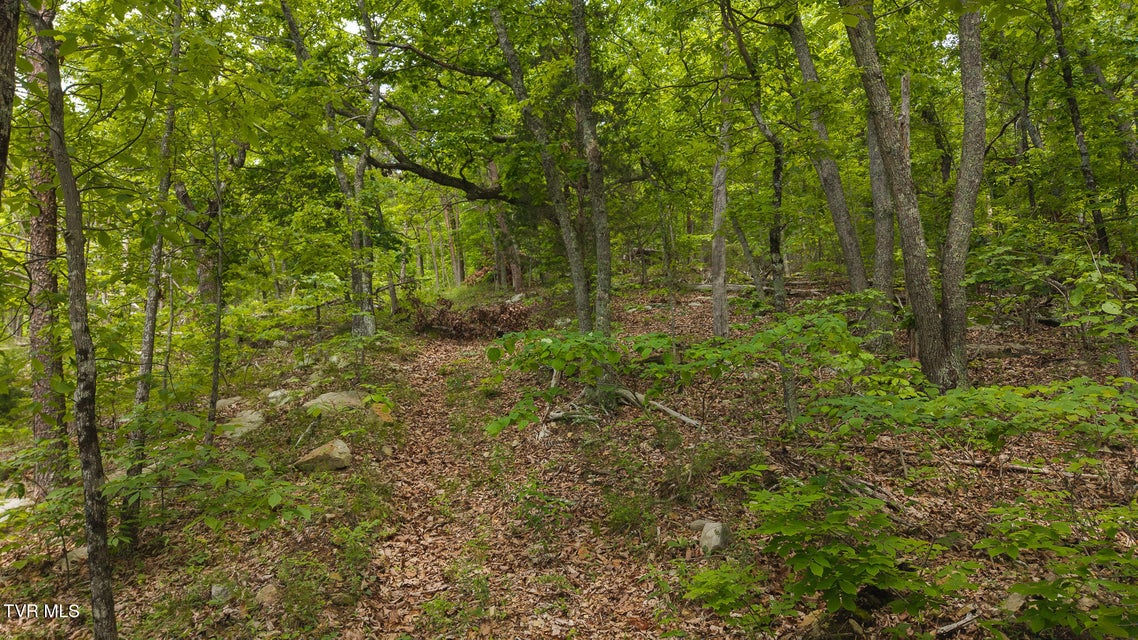 Photo #5: 0 25e Highway