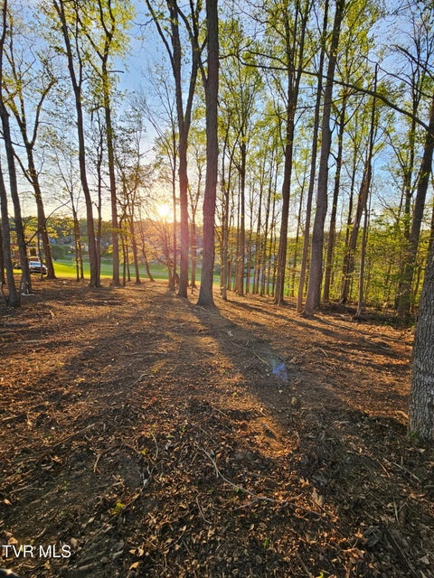 Photo #16: 546 Highland Church Road