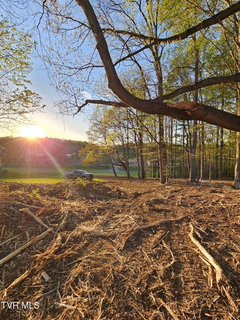 Photo #17: 546 Highland Church Road