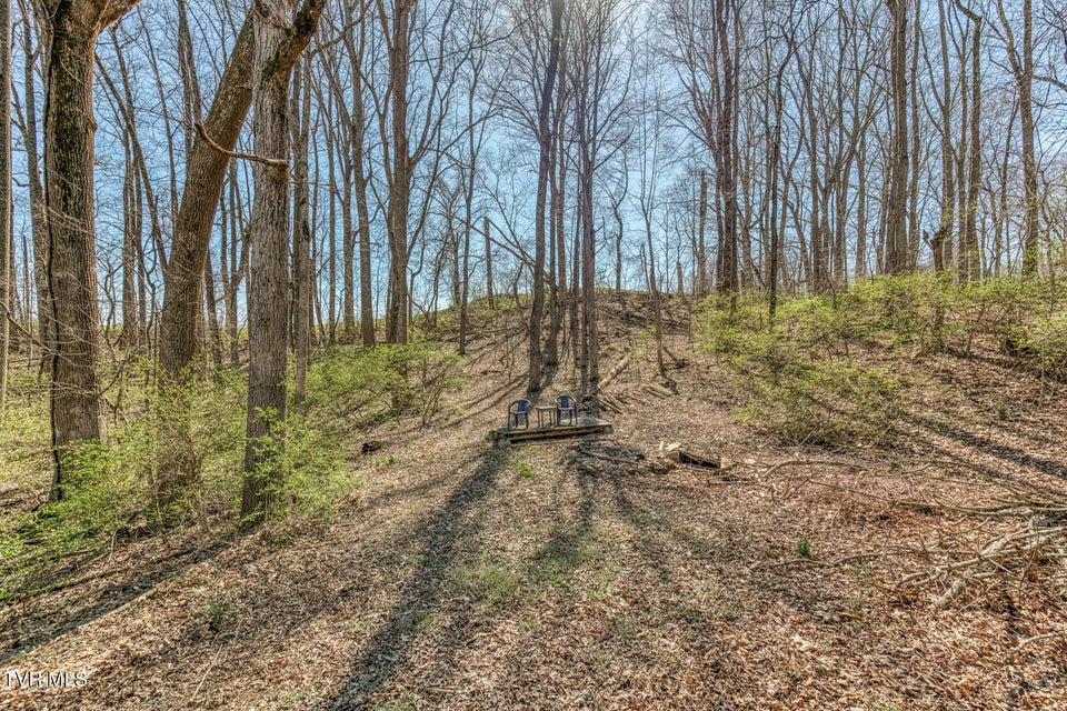 Photo #58: 16 Chaucer Court