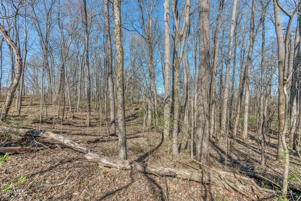 Photo #60: 16 Chaucer Court