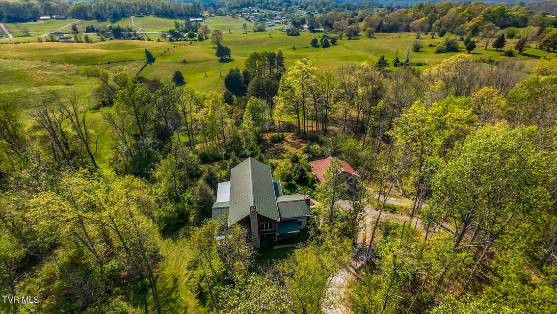 Photo #64: 1011 Buffalo Road