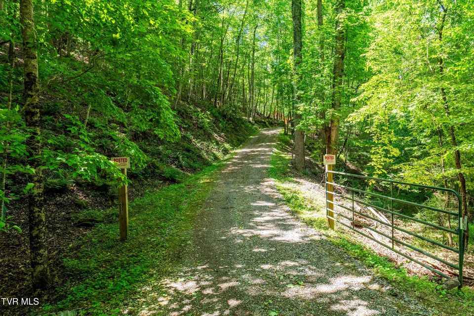 Photo #44: 198 Gunbarrel Lane