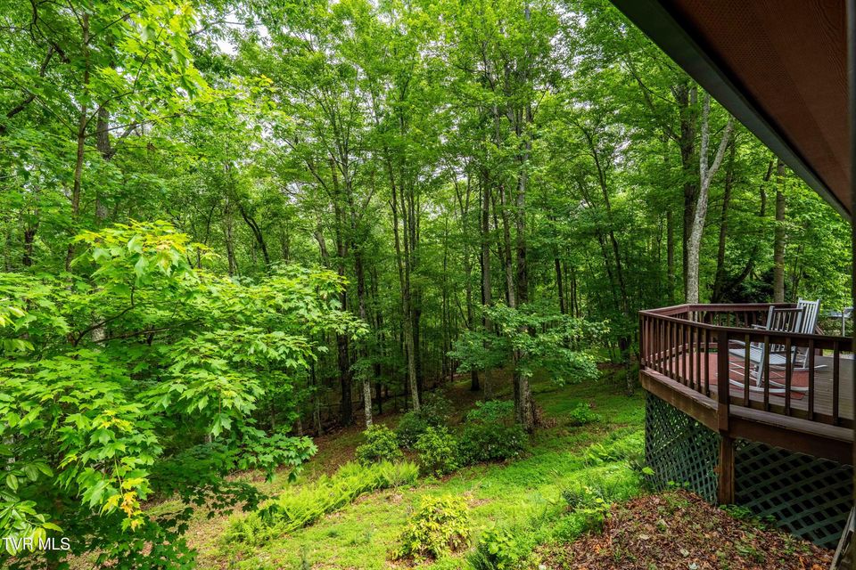 Photo #42: 198 Gunbarrel Lane