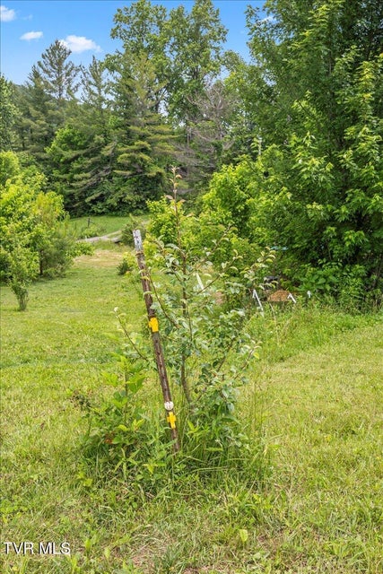 Photo #58: 71 Thistle Cove