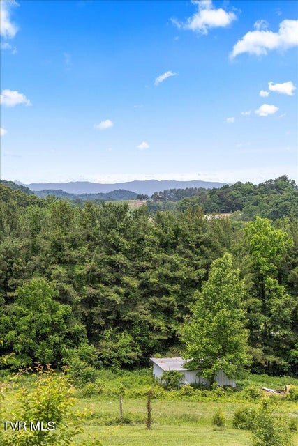 Photo #71: 71 Thistle Cove