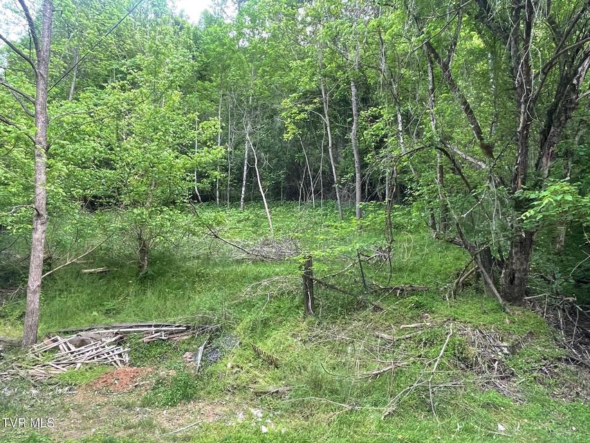 Photo #5: 763 Sloantown Road