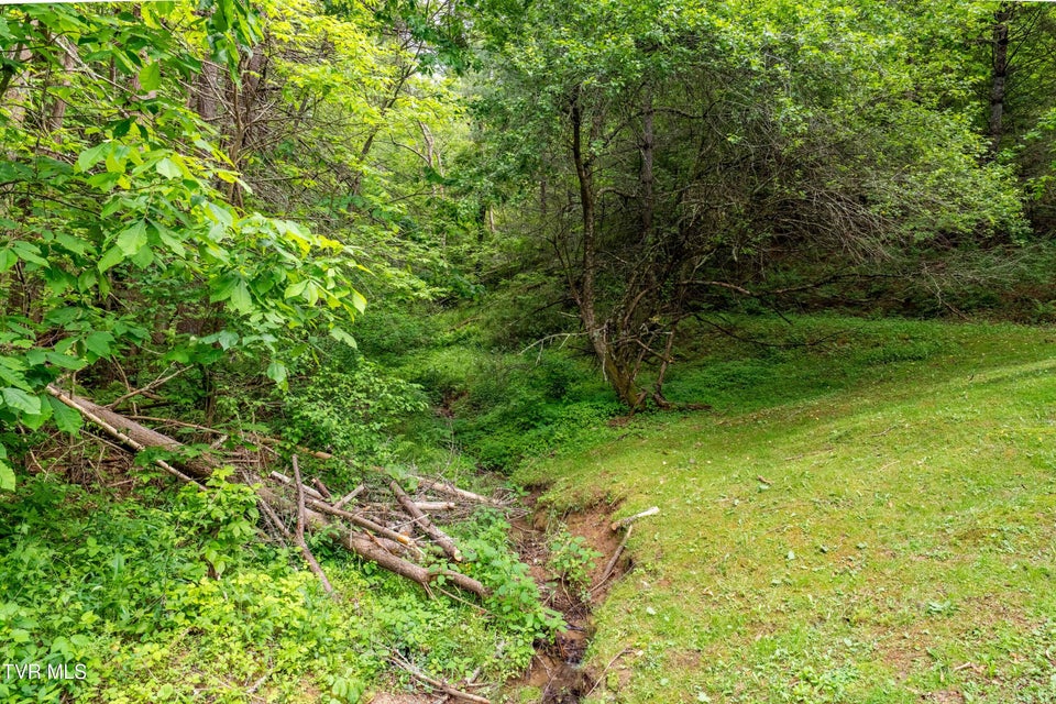 Photo #47: 1546 Stage Road