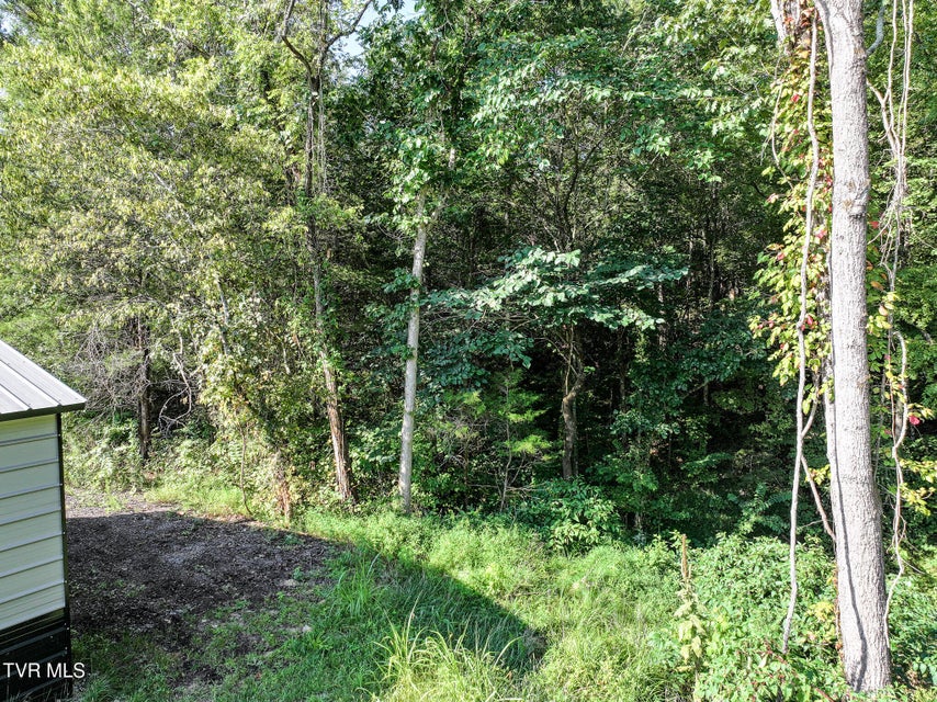 Photo #33: 3030 Poplar Springs Rd