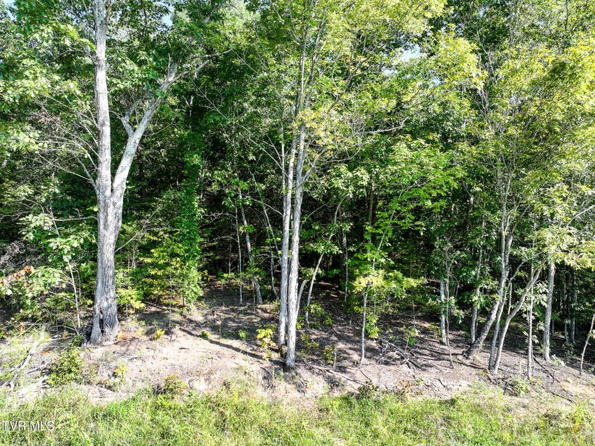 Photo #35: 3030 Poplar Springs Rd