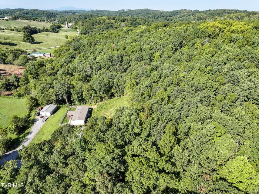 Photo #39: 3030 Poplar Springs Rd