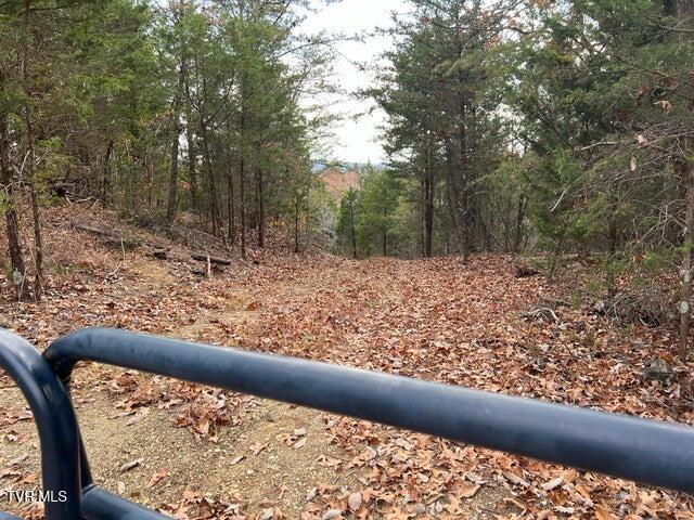 Photo #17: 168 Buzzard Roost Road