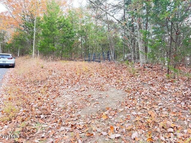 Photo #18: 168 Buzzard Roost Road