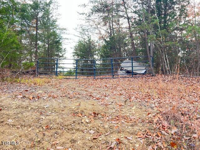 Photo #19: 168 Buzzard Roost Road