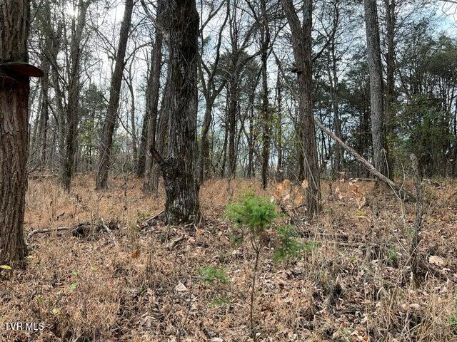 Photo #21: 168 Buzzard Roost Road